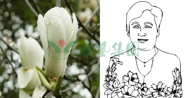 永乐高·(中国区)官方网站