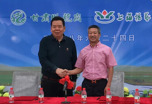 永乐高·(中国区)官方网站