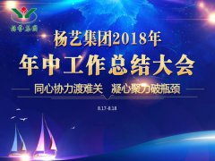 永乐高集团2018年中总结报告（摘要）