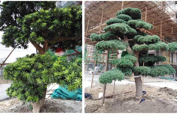 永乐高·(中国区)官方网站