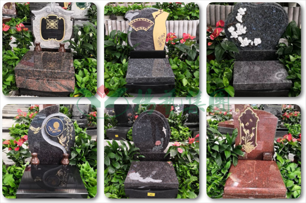 永乐高·(中国区)官方网站