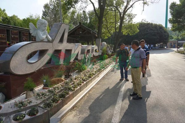 永乐高·(中国区)官方网站