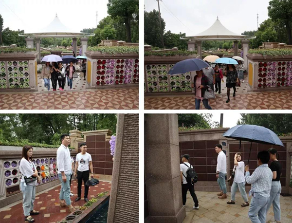 永乐高·(中国区)官方网站