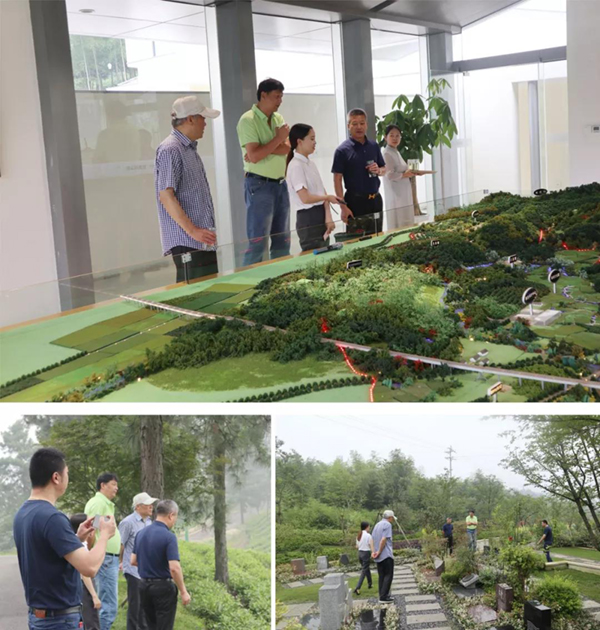 永乐高·(中国区)官方网站