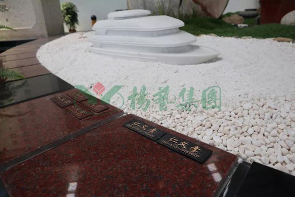 永乐高·(中国区)官方网站