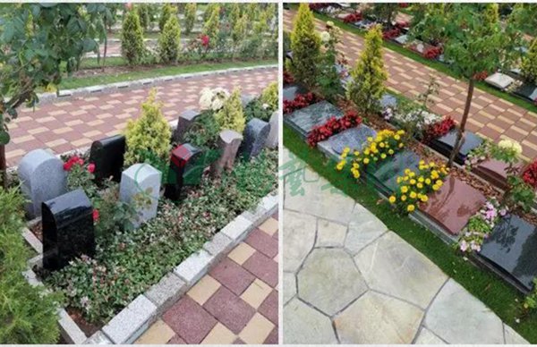 永乐高·(中国区)官方网站