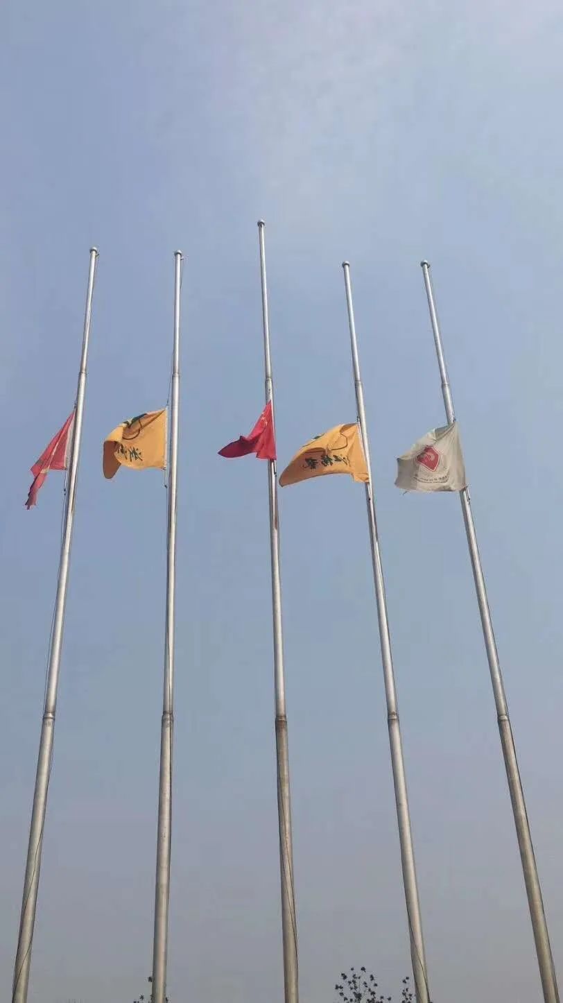 永乐高·(中国区)官方网站