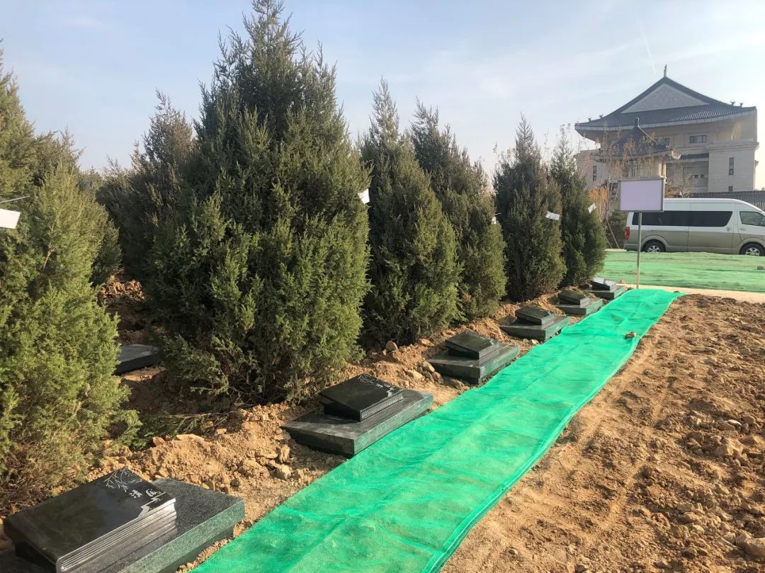 永乐高·(中国区)官方网站