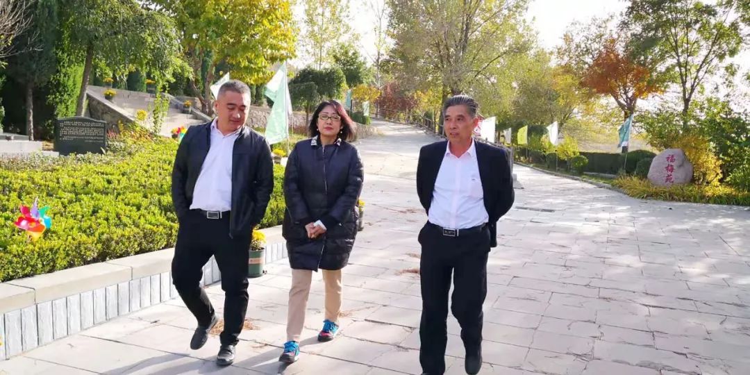 永乐高·(中国区)官方网站