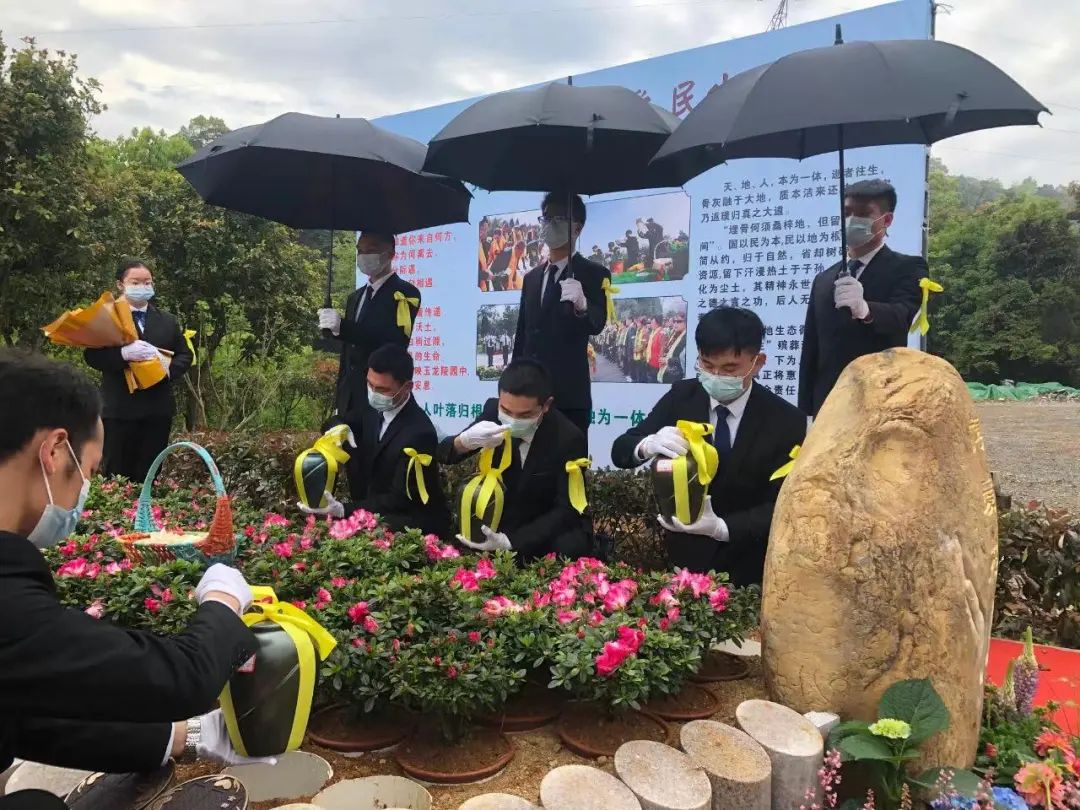 永乐高·(中国区)官方网站