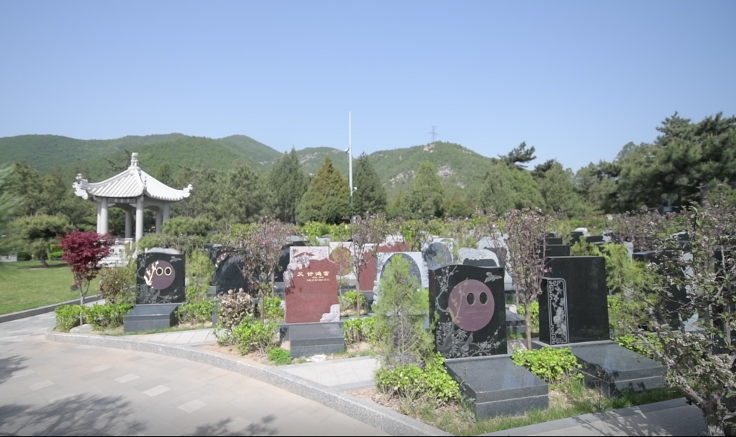 永乐高·(中国区)官方网站