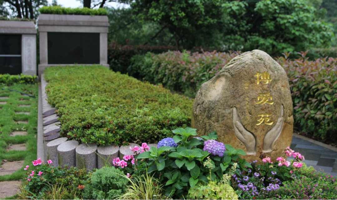 永乐高·(中国区)官方网站