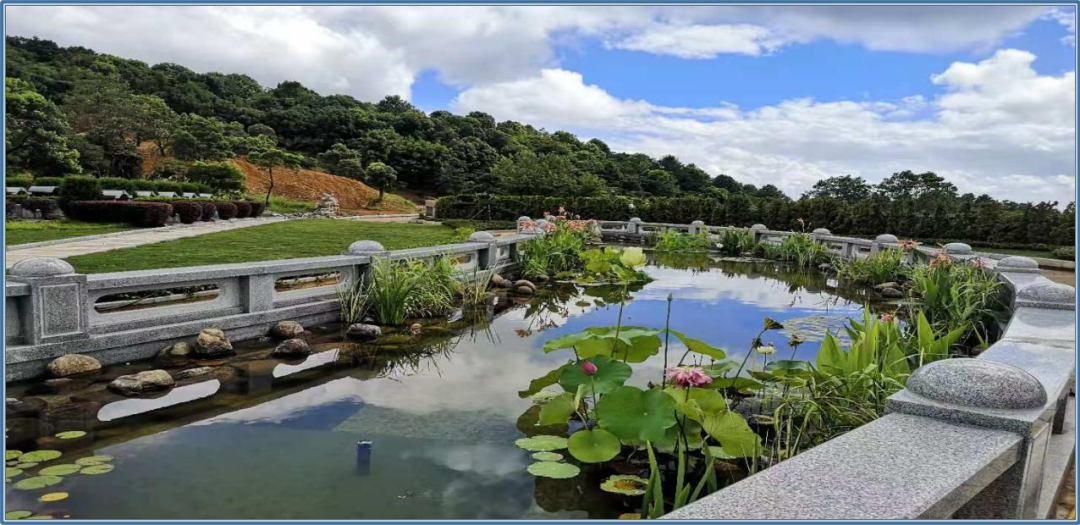 永乐高·(中国区)官方网站