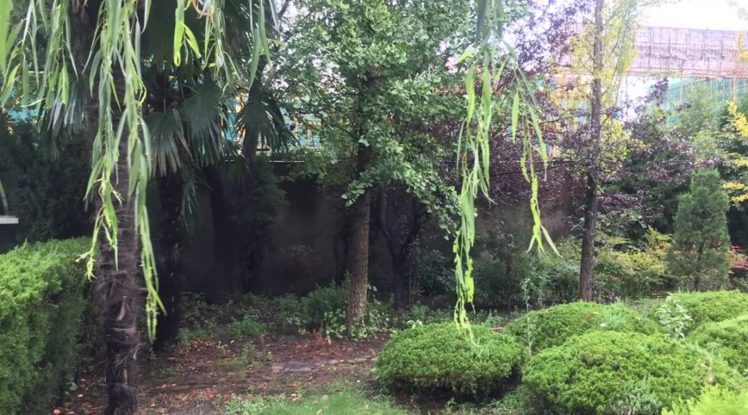 永乐高·(中国区)官方网站