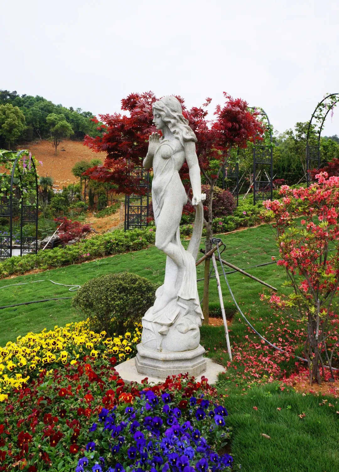 永乐高·(中国区)官方网站