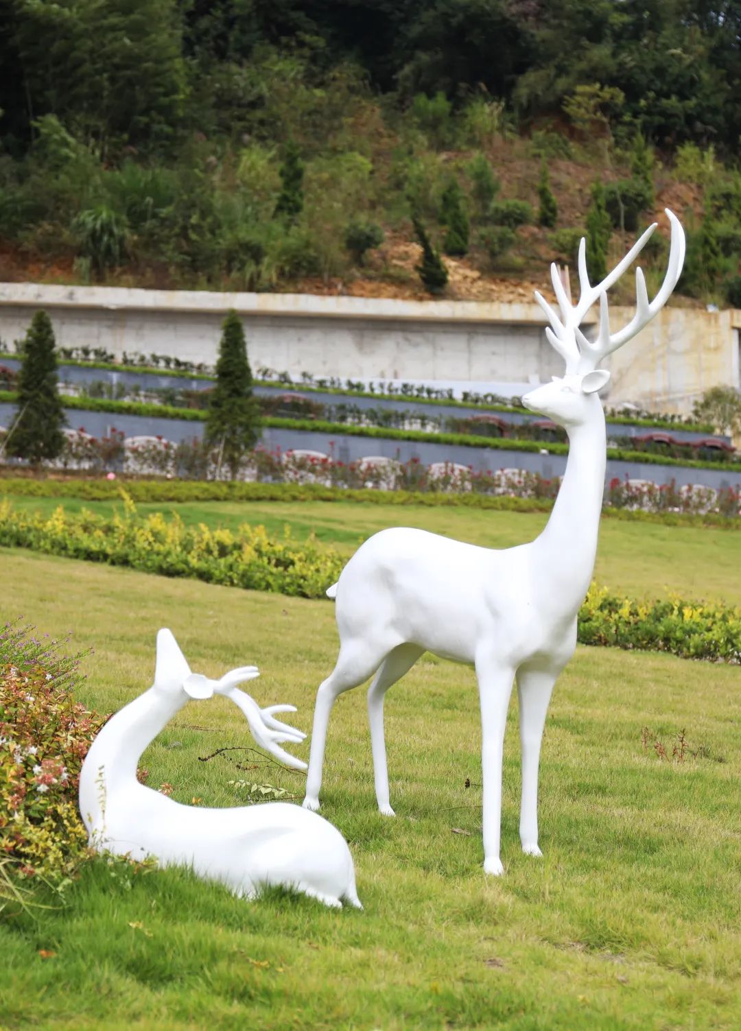 永乐高·(中国区)官方网站