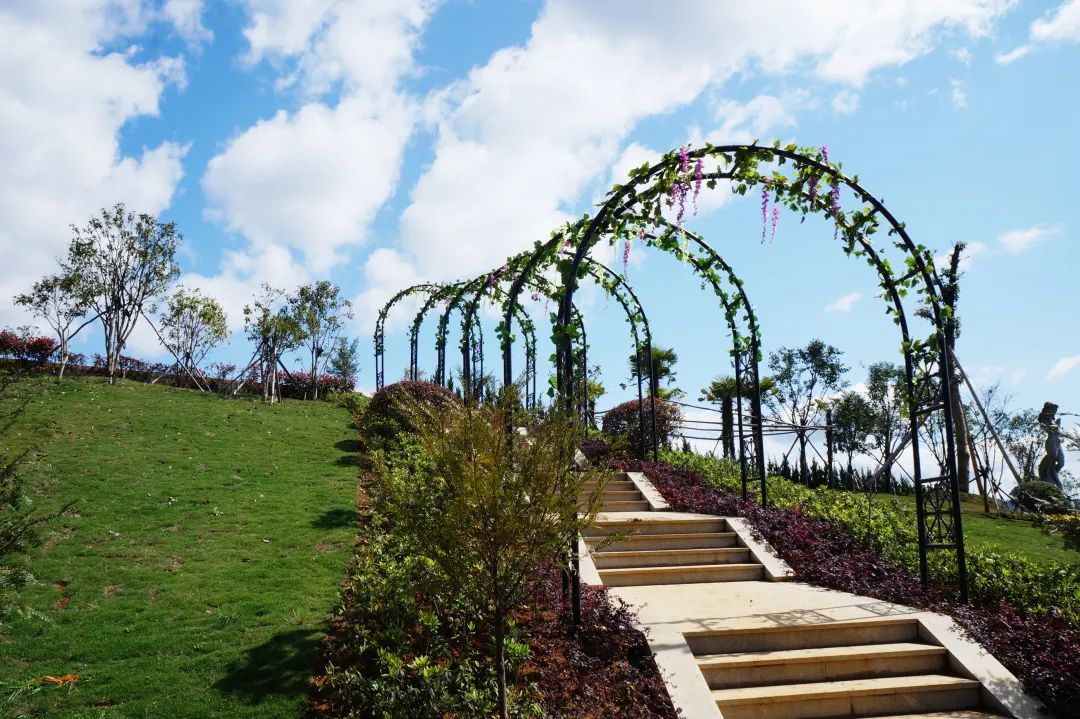 永乐高·(中国区)官方网站