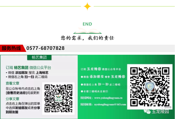 永乐高·(中国区)官方网站