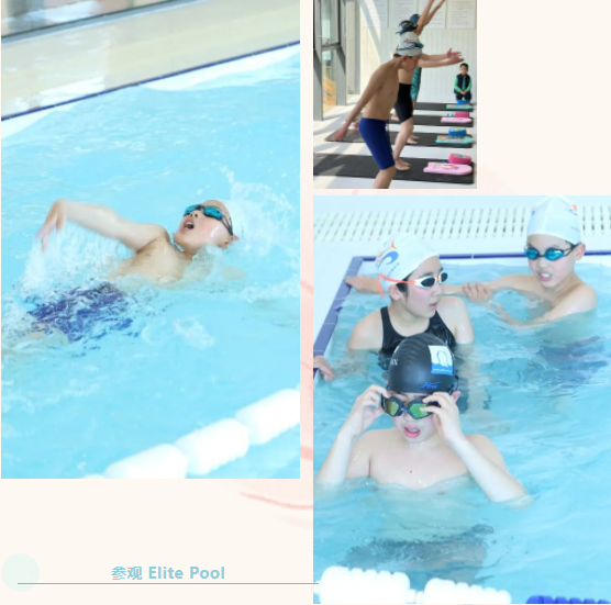 永乐高·(中国区)官方网站