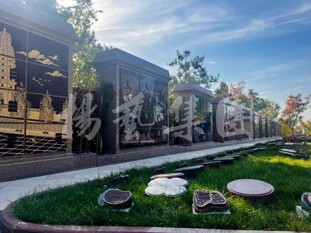 永乐高·(中国区)官方网站