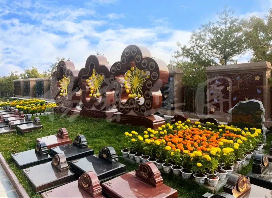 永乐高·(中国区)官方网站