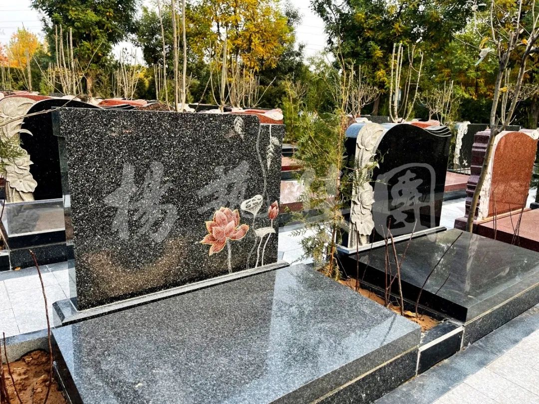 永乐高·(中国区)官方网站