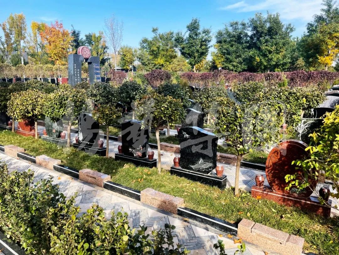 永乐高·(中国区)官方网站