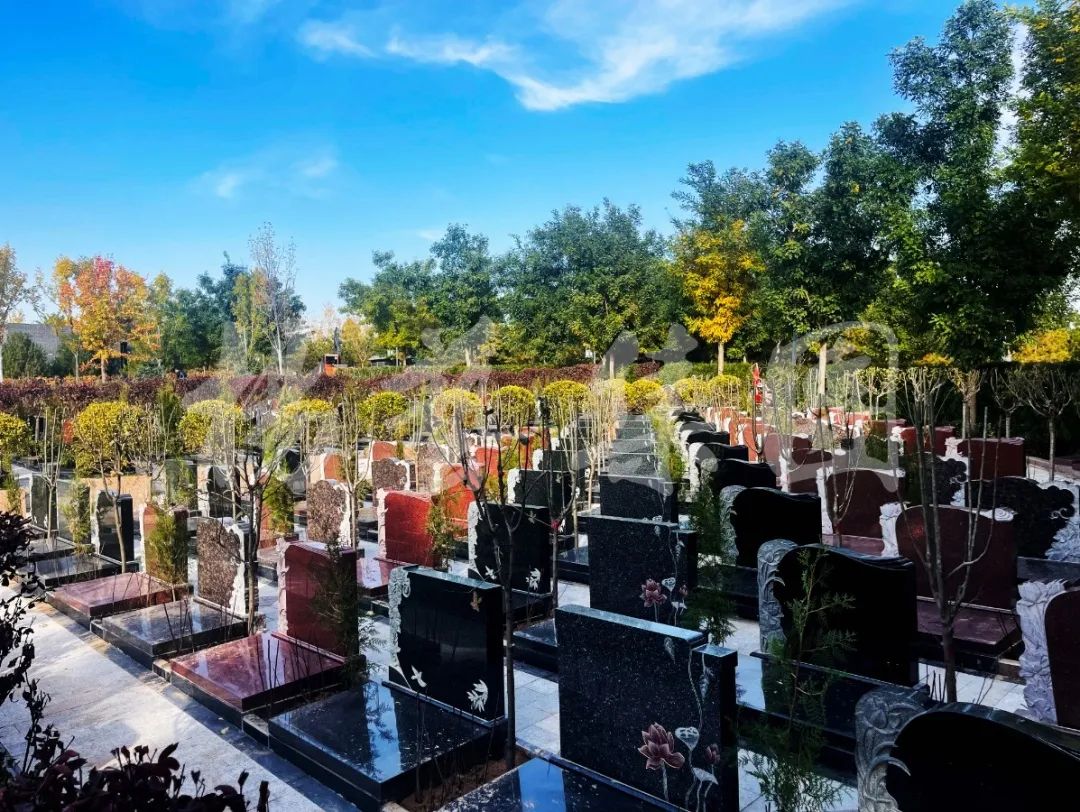 永乐高·(中国区)官方网站