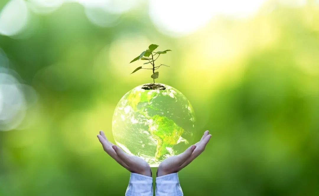 永乐高·(中国区)官方网站