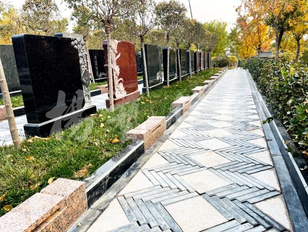 永乐高·(中国区)官方网站