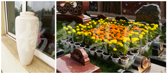 永乐高·(中国区)官方网站