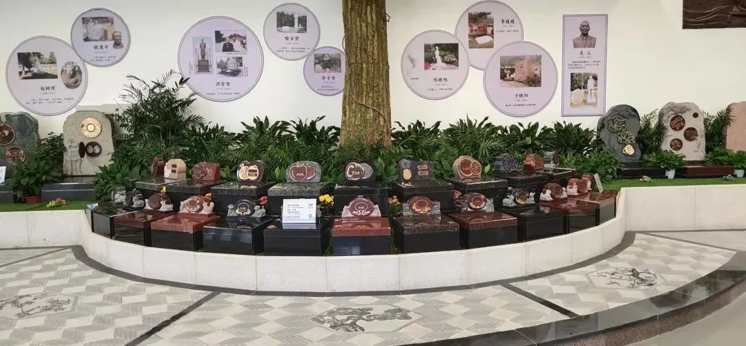 永乐高·(中国区)官方网站