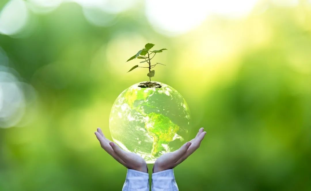 永乐高·(中国区)官方网站