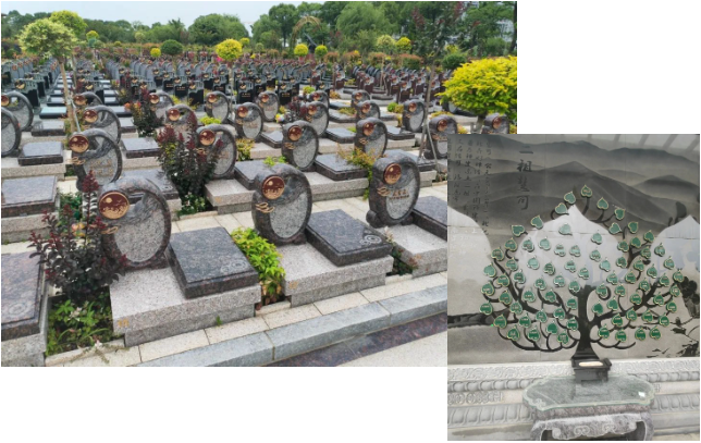 永乐高·(中国区)官方网站