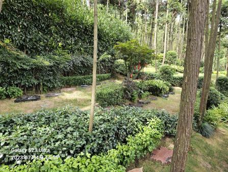 永乐高·(中国区)官方网站