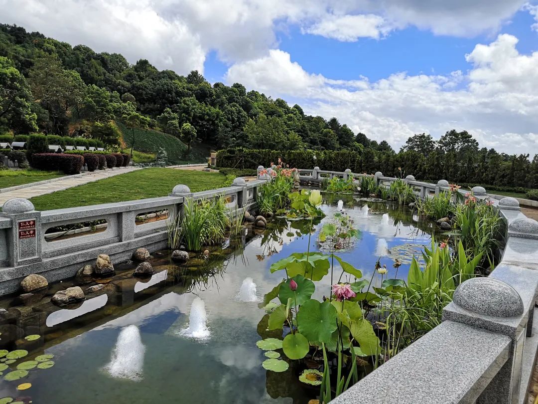 永乐高·(中国区)官方网站