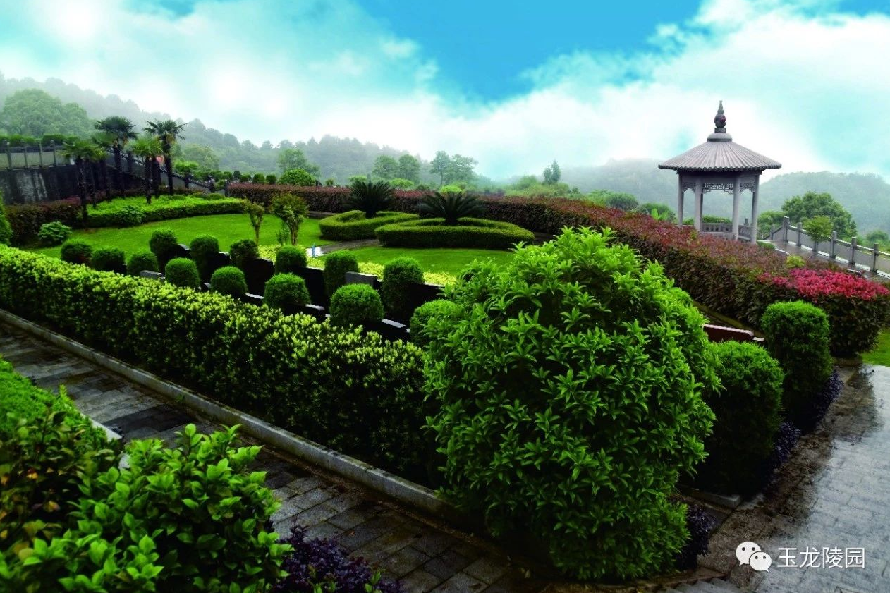 永乐高·(中国区)官方网站