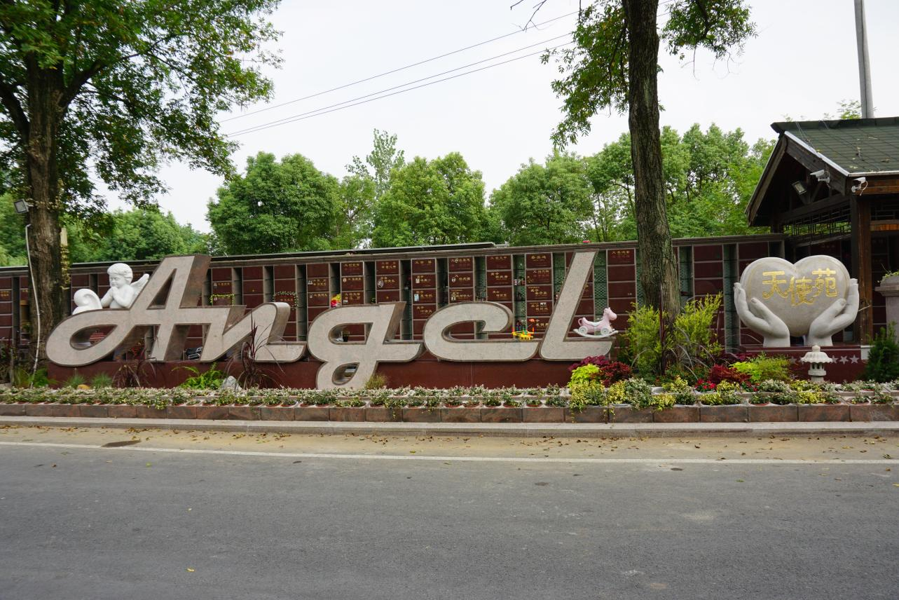 永乐高·(中国区)官方网站