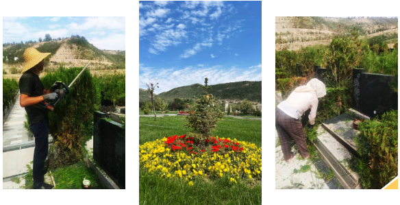 永乐高·(中国区)官方网站