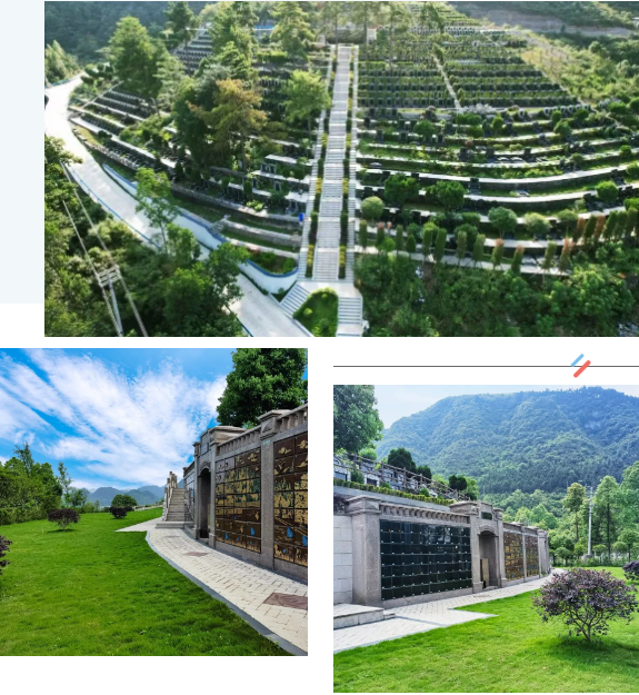 永乐高·(中国区)官方网站