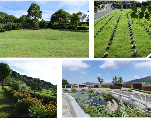 永乐高·(中国区)官方网站