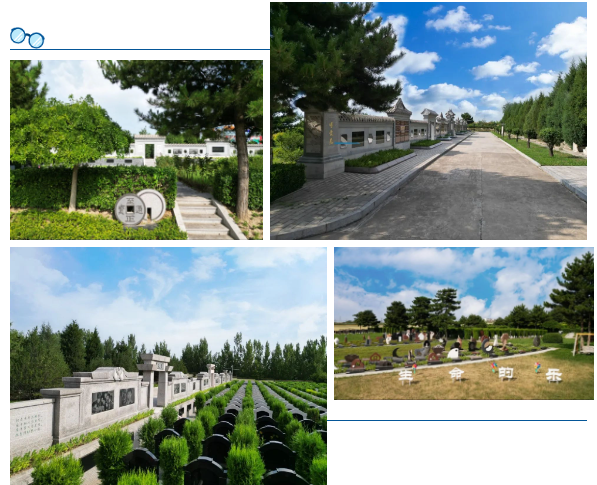 永乐高·(中国区)官方网站