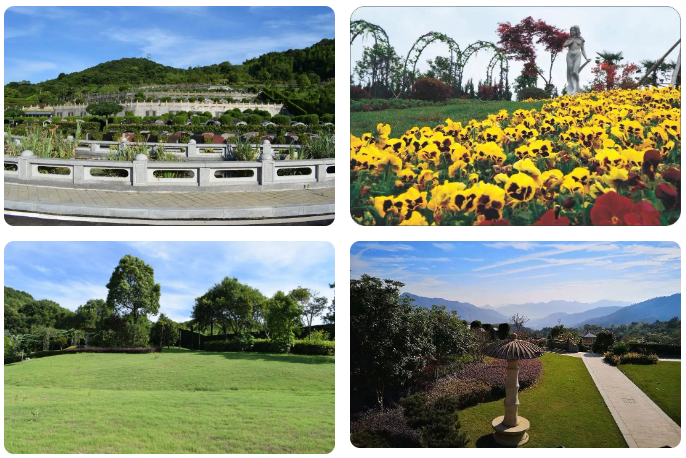 永乐高·(中国区)官方网站