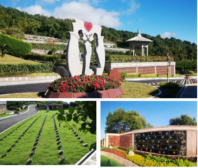 永乐高·(中国区)官方网站