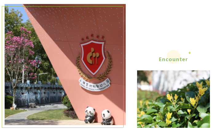 永乐高·(中国区)官方网站