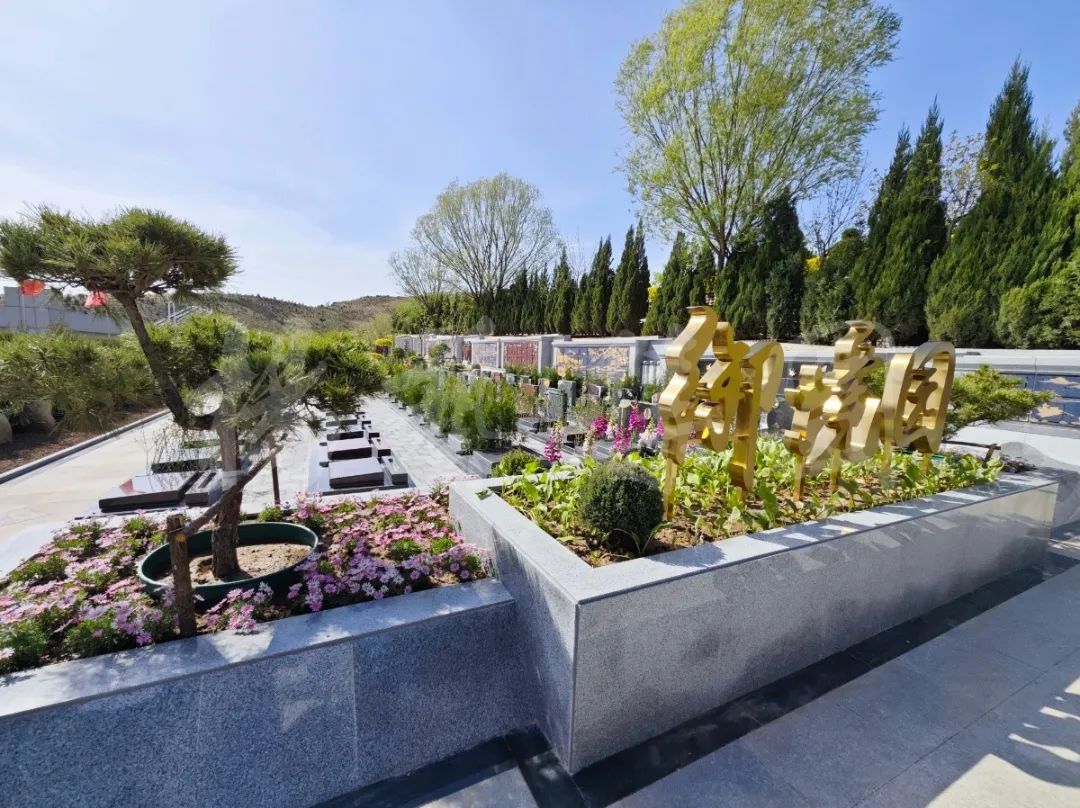 永乐高·(中国区)官方网站