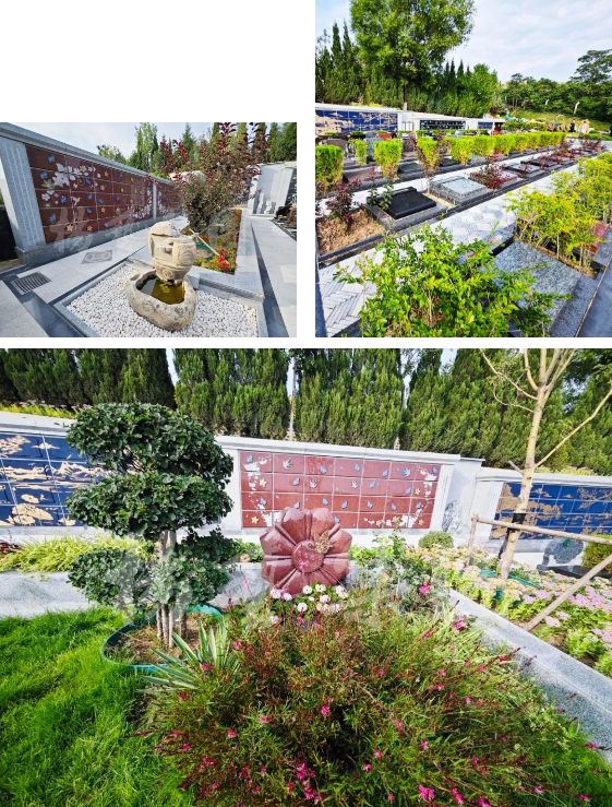 永乐高·(中国区)官方网站