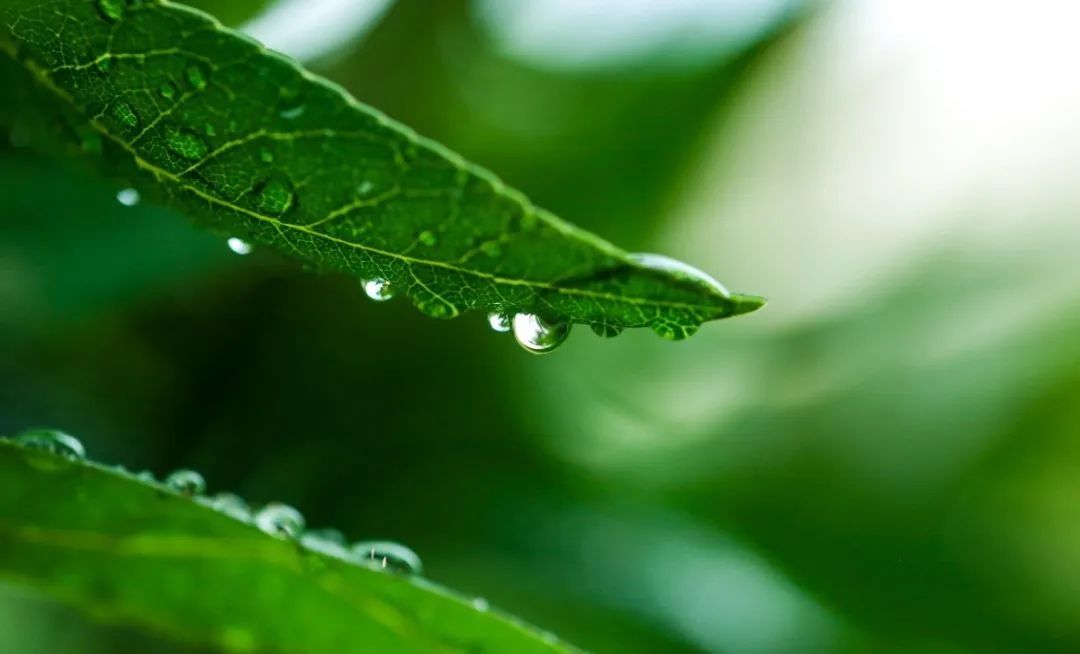 永乐高·(中国区)官方网站