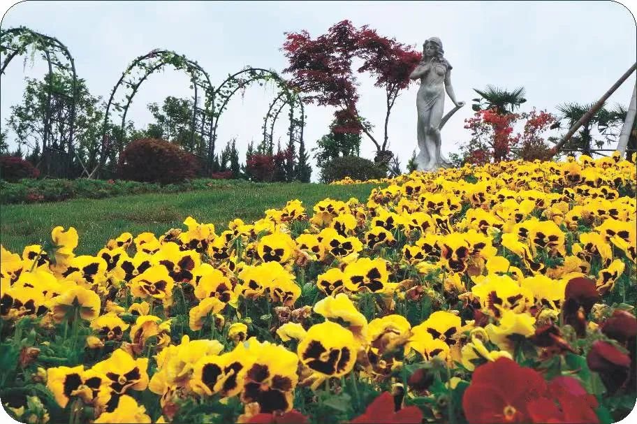 永乐高·(中国区)官方网站