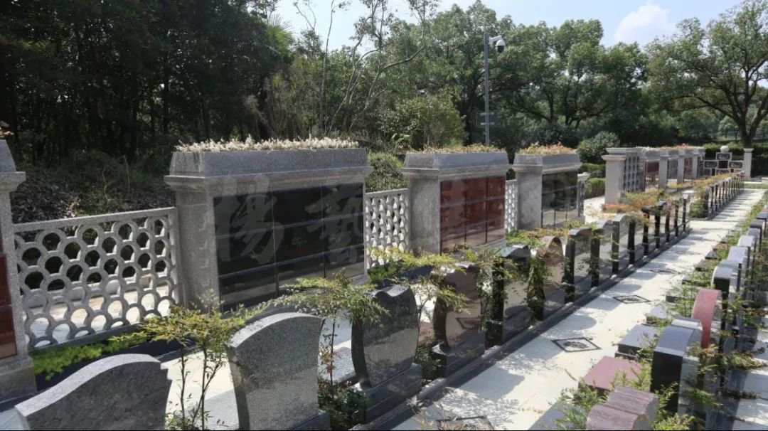 永乐高·(中国区)官方网站